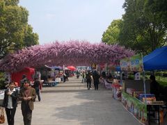 android_upload_pic-南汇桃花村