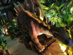 -恐龙探索乐园(磁器口店)