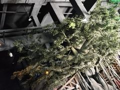 -汕头蓝水星欢乐世界