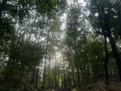-火炉山森林公园