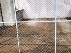 -哈尔滨北方森林动物园