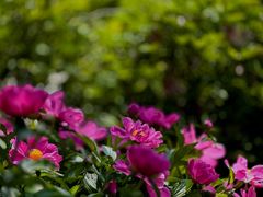 -大钟寺古钟博物馆