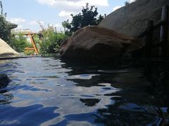 -威海天沐度假区温泉