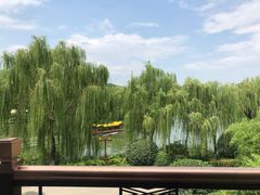 -鹊华居·地道鲁菜·海鲜·融合味(大明湖店)