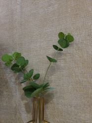 -深圳鹏爱秀琪医疗美容医院