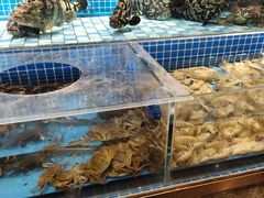 -蓝钻·国际美食海鲜自助百汇(西直门店)
