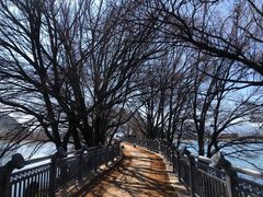 -清溪水库