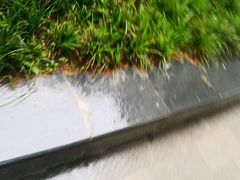 -后襄河公园