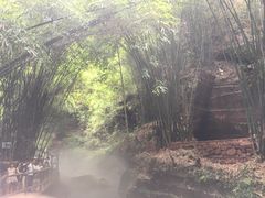 -川西竹海景区