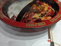 -京门活鱼馆·鱼火锅(百子湾（原红庙）店)