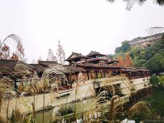 -重庆彩云湖湿地公园
