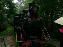 -五营红松林海景区