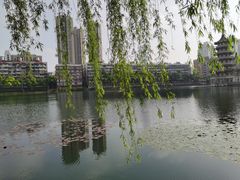 -宝岛公园