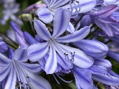 -昆明市金殿名胜区