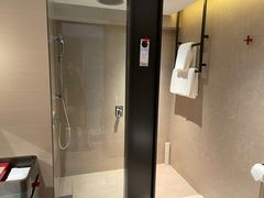 -新加坡瑞士史丹福酒店