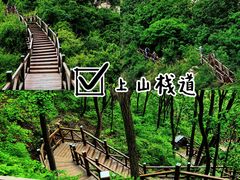 -大岭沟猕猴桃谷风景区