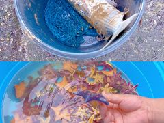 -前王院•巧克力海鲜市集餐厅(万平口店)