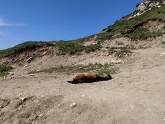 -灵山