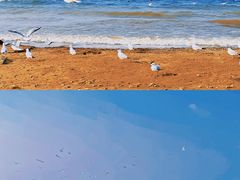 -大理洱海