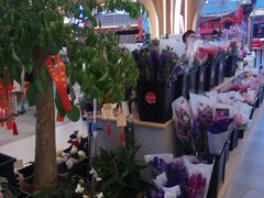 -茶马花街(城西银泰城店)