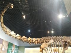 -衢州市博物馆