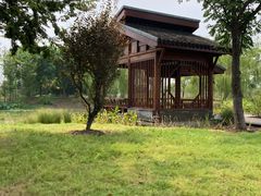 -梁鸿国家湿地公园