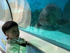 -苏州海洋馆
