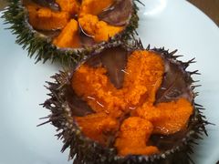 -海胆小馆(东北水饺·春柳店)