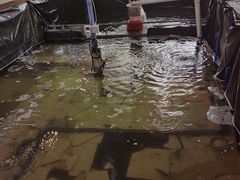 钓虾场-小象钓虾·营地烧烤(洛溪店)