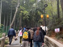 -灵岩山风景区