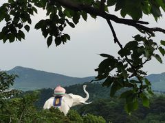 -青岩寺风景区