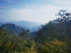 -大岭沟猕猴桃谷风景区