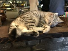 -老屋咖啡