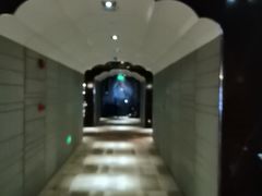 -上海星河湾酒店(闵行店)