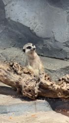 -Zoolung Zoolung动物主题公园(海信广场店)