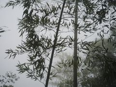 -崀山风景名胜区