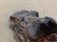 -杭州野生动物世界