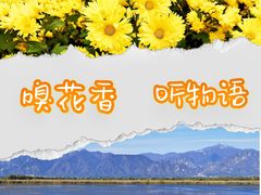 -野鸭湖国家湿地公园