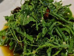 山胡椒油丝瓜尖-匠熙小馆(崇文门店)