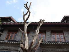 -龙潭水乡