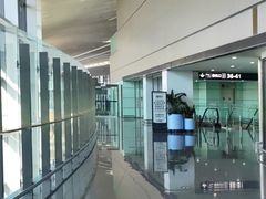 -青岛胶东国际机场