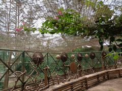 -北海金海湾红树林生态旅游区