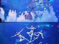 -泉城欧乐堡海洋极地世界
