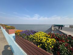 -碧海金沙