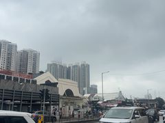 -油麻地果栏