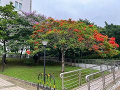 -广东中医药博物馆