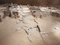 -洛阳周王城天子驾六博物馆