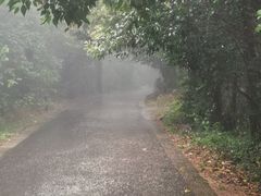 -大蜀山国家森林公园