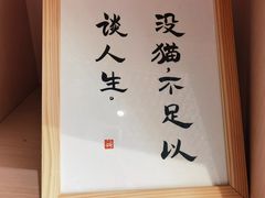 -瞄一喵猫咖(格力海岸店)