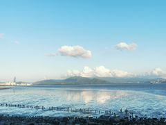 -深圳湾公园(南山区)